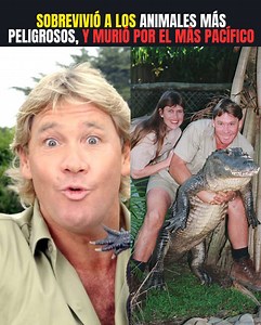 2.4M views · 82K reactions | Sobrevivió a los animales más peligrosos, y murió por el más pacífico | Jorgetvshow | Facebook