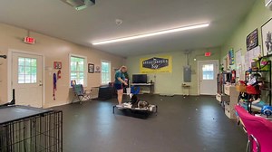 One of the most important things a family can implement when their pup comes home from training is STRUCTURE! Especially for a dog like Cooper who has come to believe he rules the roost! Working on exercises like long duration on place gives Cooper a job to do and keeps his anxiety at a minimum! . . . . . #cooper #husky #anxiety #btk9 #breakthroughk9 #balancedtraining #dog #dogs #dogtraining #dogtrainingvirginia #dogtrainingrichmond #boardandtrain #breakthroughk9training #balanceddogtraining #do