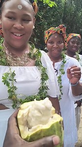 6.6K views · 284 reactions | SATISFY SWEET TOOTH Cocoa Beans tour #farming #farmers #travelfamily #reelsfbシ #blacktravelers #melaninpoppin #naijamusic #trend #explorepage #ghana #trendingreels #texas | Cultured Ghana | Facebook