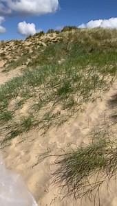 14K views · 48 reactions | Hannah Whiteley on Reels | Facebook