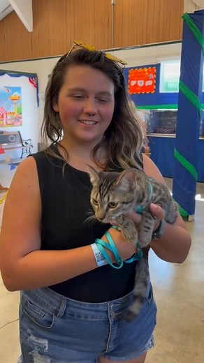Animals! We have full barns of cute critters to meet! Talk to their handlers and learn about all the work they put in raising and showing their animals. | Evergreen State Fair