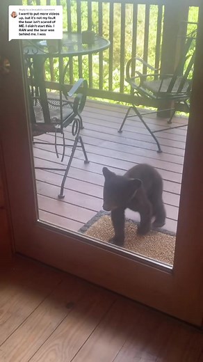 Emily Brocato on TikTok