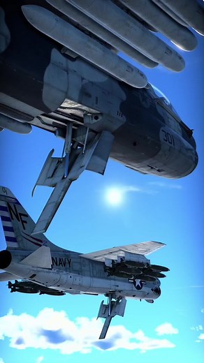 Rabbit Squadron on TikTok