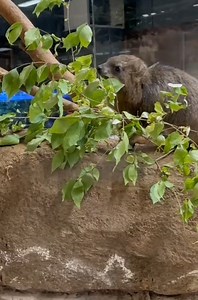 2.5K views · 75 reactions | Make sure to get all daily allotment of...