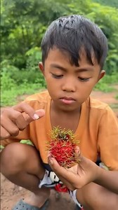 Survival Skills:🤨😱🍎 SMART ideas and USEFUL with single moin forest #camping #bushcraft