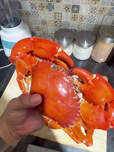 海鮮 #おうち時間 #一人暮らし #料理 #おすすめ #fyp | cooking food