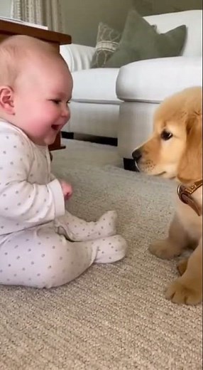 Dogs Watching Baby Play—So Gentle & Sweet! #BabyAndPets #CutePets #Shor