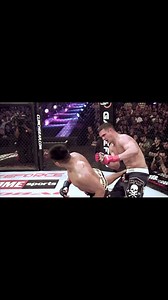 Võ sĩ Cung Lê có những tuyệt chiêu đặc biệt The step up spinning back kick. Credit: Cung Le Original Audio | Cung Le