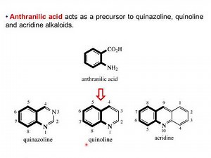 Alkaloids biosynthesis