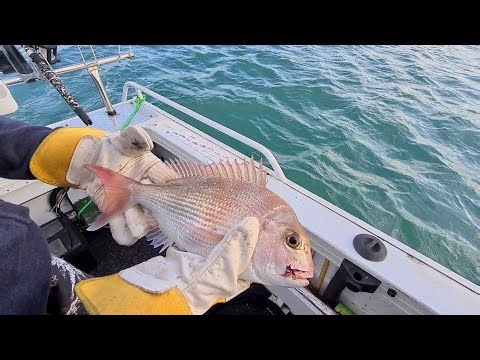 First Time Fishing At Port Albert