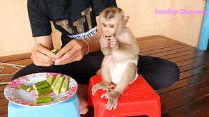 Smart Baby Sono Sit On Red Chair First Time Eating Vegetable | Monkey Kid