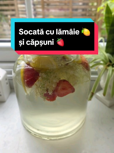 Preparare Socată: Rețeta Perfectă cu Lămâie și Căpșuni