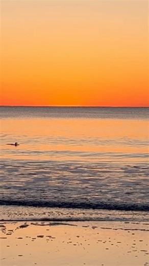 Happy Earth Day! #loveyourmother #earthday #earthday2024 #naturephotography #naturephotography #naturelovers #sunrise #sunrisephotography #loon #sunrisevideo #sunriseview #sunrisevibes #riseandshineon7 | Salisbury Sunrises