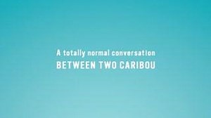 6K views | Caribou Coffee on Reels | Facebook