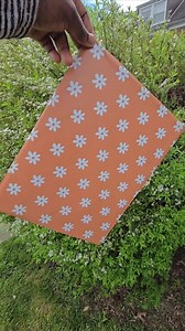 10x13 Polymailers, Boho Daisy Poly Mailers,poly Mailers 10x13, Polymailers 10x13, Mailing Bag, Shipping Bag, Polymailer Bags - Etsy