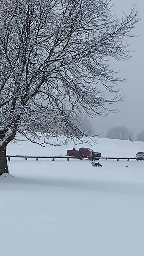 Forty Fort PA | William Wermuth