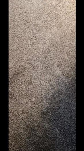 MY NIECE ROOM IS READY ❤️ 💙 💜 #fypシviralシ2024 #fypシ゚viralシ #fypシ゚viralシfypシ゚ #PlutoTVIsFree #tiktokviral #facebookviral #bless #facebookreelsviral @highlight Following | Shamika Finley