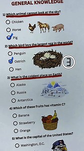 General Knowledge Quiz - Can you get 7/7? #quiz #quiztime #trivia #generalknowledge | Quizzes Pulse