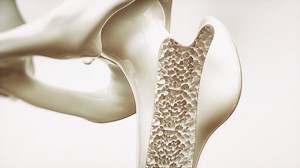 Top 5 Supplements For Better Bone Density |