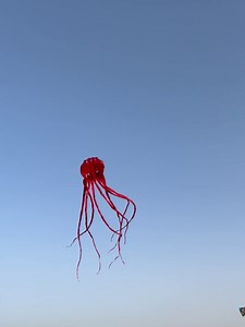 8M 3D Giant Octopus Kite - with Handle & Line, Huge Foil Kite Gifts Toys for Adults Kids Boys Girls, Beach Trip Family Games and Activities, Park Outdoor Fun