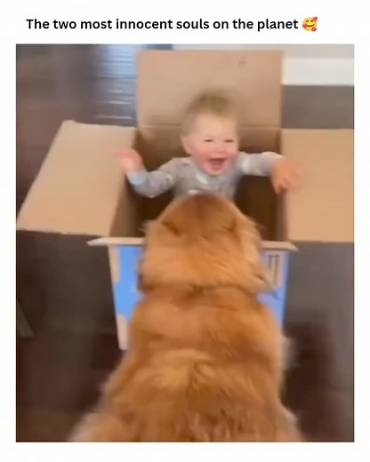 2.8K views · 125 reactions | Cooter Bob Memes on Reels | Facebook