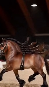 95K views · 7.1K reactions | Prestige Review Series - You can see the...