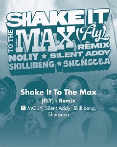 Shake It To The Max (FLY) Remix Lyrics