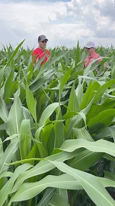 31 reactions | #Grow23 is in full swing! Our product team and AgVenture independent seed companies are hard at work checking their locally selected products, like this field near Minden, NE.  | AgVenture, Inc. | Facebook