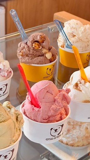Ice cream first 🍦🍨 | Luca Polare