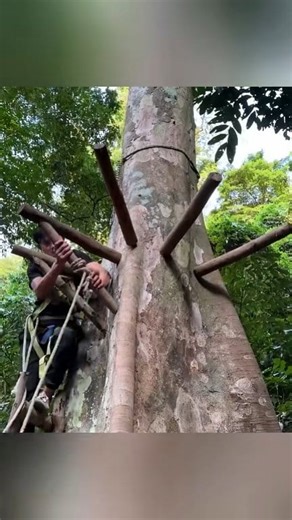 camping and bushcraft #survival #camping #bushcraft | Blogger np