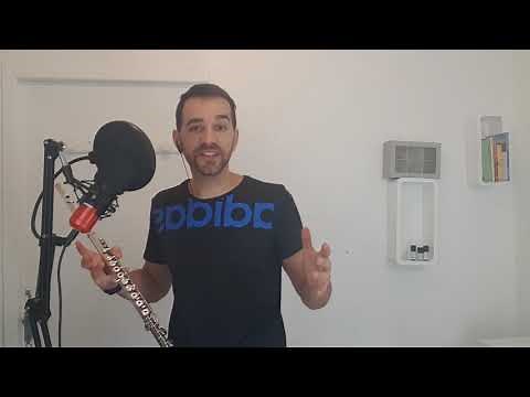 Dance Monkey - Tones and I - Flûte traversière