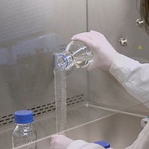 Video: Measuring Phagocytosis of Aspergillus fumigatus Conidia by Human Leukocytes using Flow Cytometry