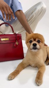 Something exciting is coming soon to #MATCHES… https://bit.ly/3QshmGC | MATCHES