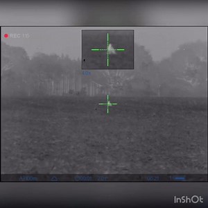 Who is ready to get on some pigs? | Southern Hog Control