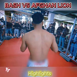 BASH VS AFGHAN LION | Eye Buddy Classy