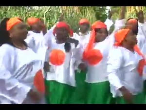 3.4K views · 264 reactions | Babu kamar Niger  | Damagaram Post | Facebook