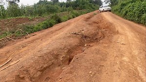 3.4K views · 313 reactions | #NTOLOMWE BUTAMBALA #NAKINDIBBA ROAD TULI BUBBI NYO | Kabako | Facebook