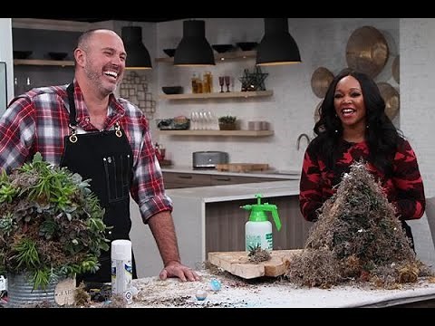 An adorable DIY succulent Christmas tree