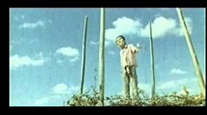уз клип Yoshlik