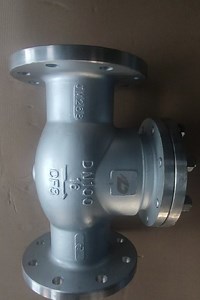 [Hot Item] Stainless Steel Swing Check Valve