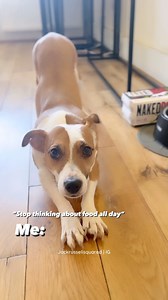 15 comments | Easier said than done  How can one resist with @nakeddograw around! It’s got all of the bells and whistles when it comes to their superfood range  mealtimes have never been more convenient and delicious! | Jack | Facebook