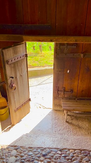 Switzerland 🇨🇭 🎥 By: travel.lovers.channel..#travel #familytravel #travelphotography #naturephotography #adventureawaits #familytrip #bestoftheday #naturebeauty #familyfriendly #vacationmode #travellife #funnymoments #lifehacks #lifestyle #switzerland #travelswiss #alps #interlaken #besthotels #travelgoals #waterfalls #nature #traveltheworld #mountains #bucketlisttravel #TravelMagic #romanticgetaway | Travel Lovers Channel