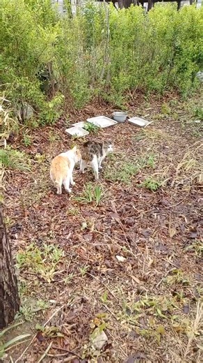 skin cream for scratchy ugly wet weather | Soul Divine