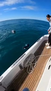 A leopard seal was hunting a penguin, but a woman saved it. . . . #leopardseal #Hunting #penguin #woman #oceanvideo #viralreelsシ | Anomaly Planet