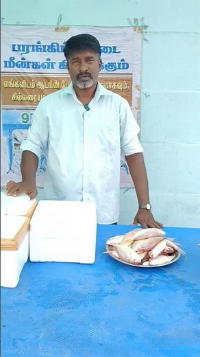 #Sangara fish delivery to Dindigul👍 Redsnapper fish delivery to Dindigul#sea foods#fishing#fish#