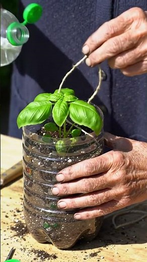 Genius Plant Hack with a Plastic Bottle!