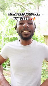 1.4K reactions · 31 shares | Have you ever made hot honey? ️ #hothoney #zestpepper #gardenharvest | Garden Marcus | Facebook