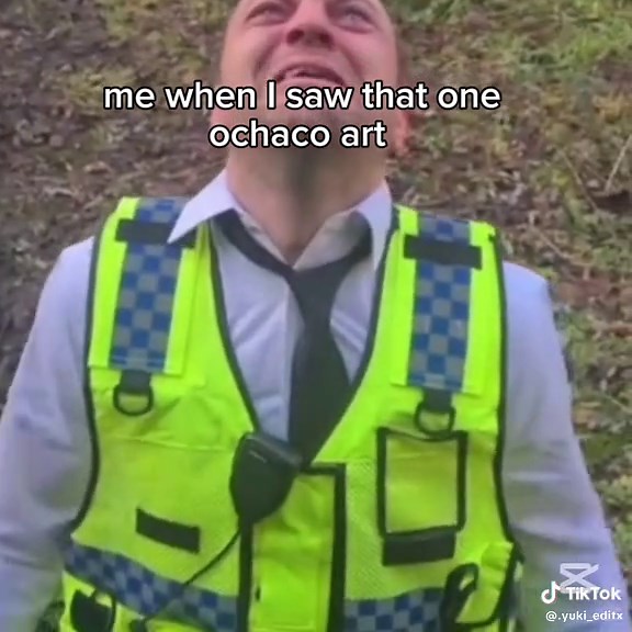 Exploring My Hero Academia Fandom Reactions