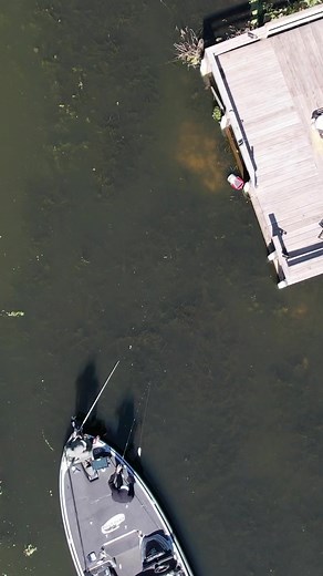 Bed fishing with glides #clutchswimbaitco #clutch #clutchswimbaitco #bassfishing #bassutv #bassproshop #bassmaster #swimbaits #swimbaitunderground #swimbaituniverse #swimbaitfreaks #swimbaitfishing #swimbaitculture #swimbaitjunkies #temptationtackle #motionfishing #fearmyheart #bigfish #fishing #fishingdaily #nationalprofessionalfishingleague #glidebait #swimbait | Clutch Swimbait Co