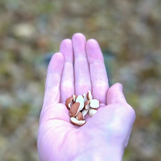 2.7K views · 230 reactions | Beautiful Tit Bird Feedings  #birdlovers #feeding #beauty #nature #naturelovers #fbreels #reelsvideo #reelsfb #foryoupage #love #reelsfypシ #NaturalBeauty #fbreelsfypシ゚viral #foryou #followers #highlights | NewAze Creator | Facebook